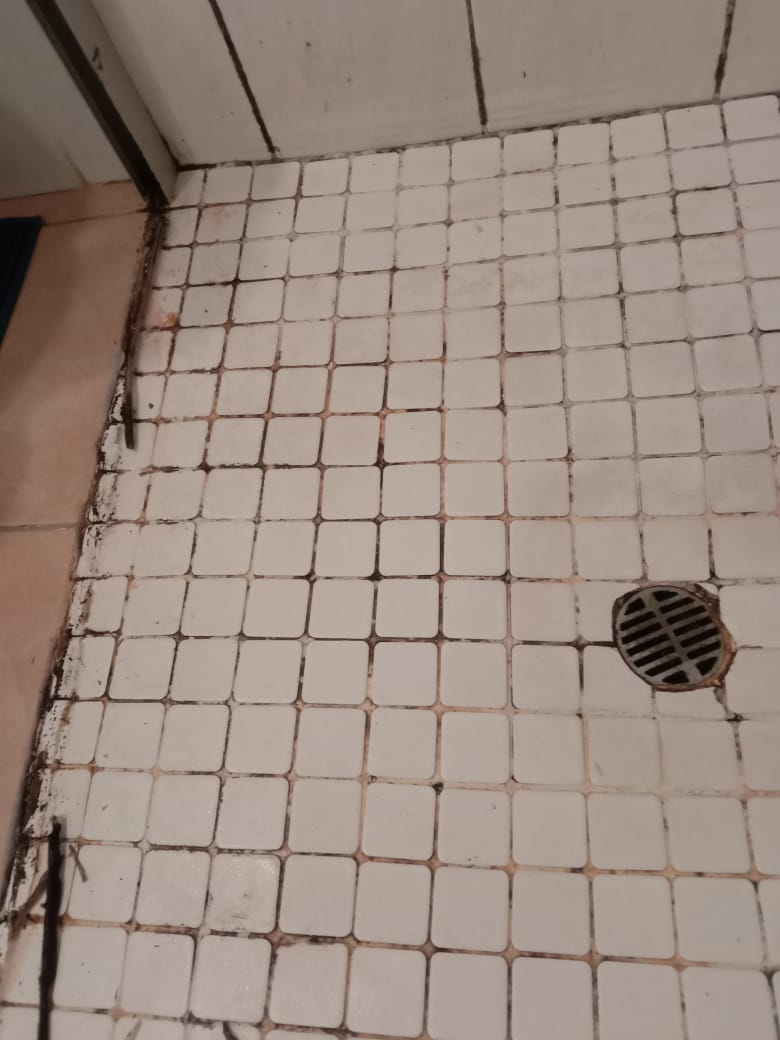 Bathroom Cleaner before cleaning