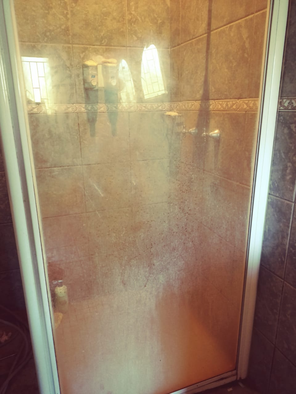 Shower Door before cleaning